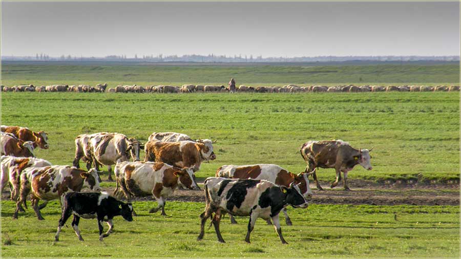 Samo odvojeno i u dve kolone !!!