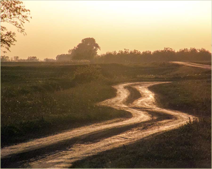 A to nam poljski pûtovi, nisu pravi ?!?