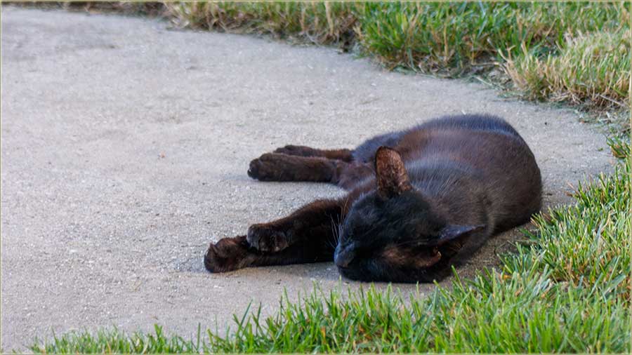 Kad bi mogla da bidnem maka..., sledei dna !!!