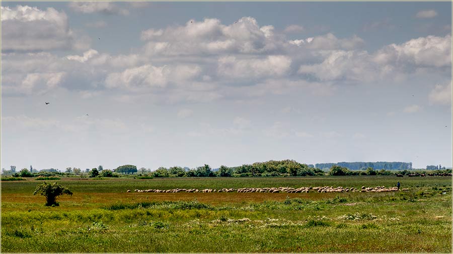 Maj je najLepi mesec uGdnu !!!
