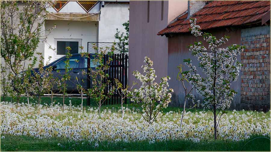 NeBrinte..., nije pao sneg..., nije pao led...