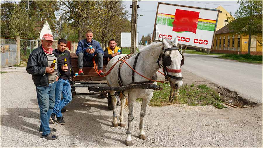 Kav nekad..., sKnji i sKli..., a na pivo !!!
