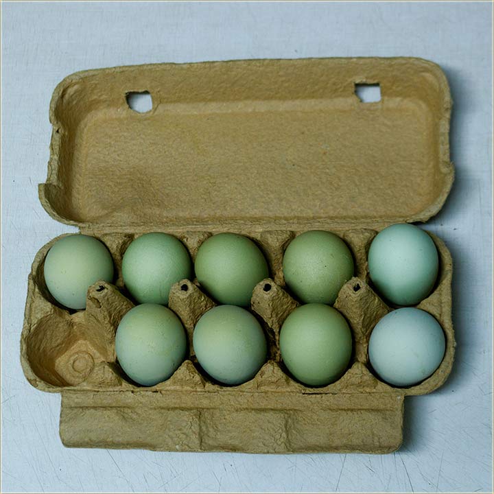 Prirodno zelena jaja..., neTreba da se frbadu !!!