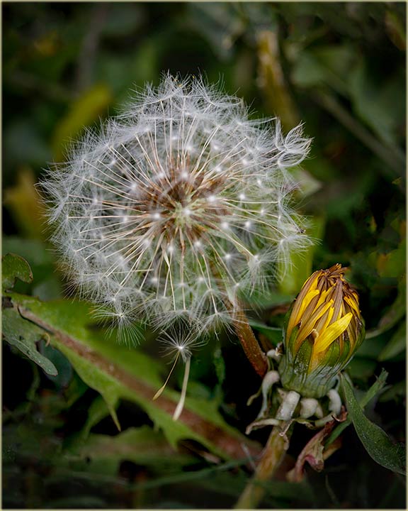 Jutroske nam je poelo i zvanino prolee !!!