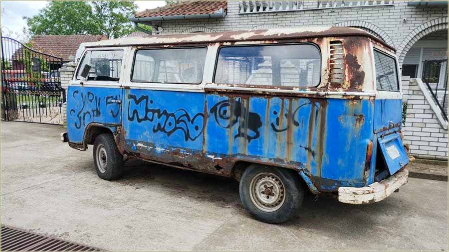 Zorica Batovanov - nerazdvojni kombi i hipici...