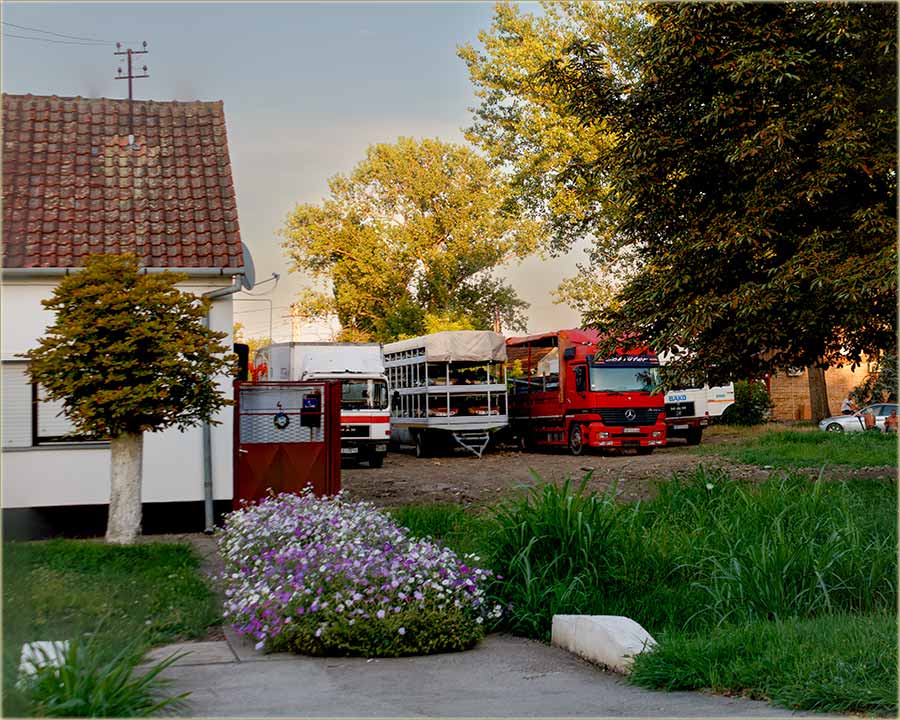 Stigo nam je Hali-Gali !!!