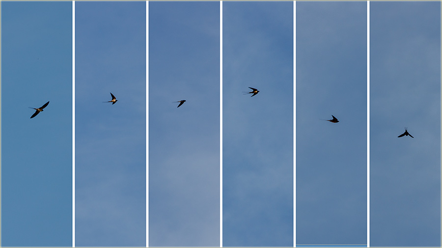 KodNas u Miloevo, su stigle lstê !!!