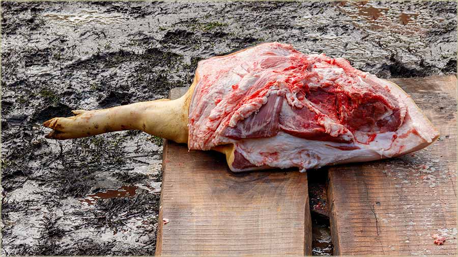 Divani po disnatorima !!!