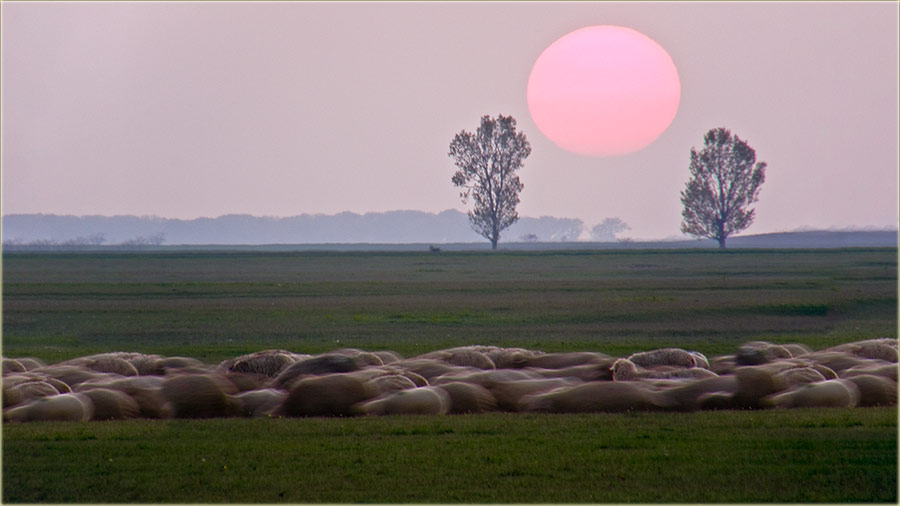 Samo smo jj i ona vca, gledili zalazak Cunca...