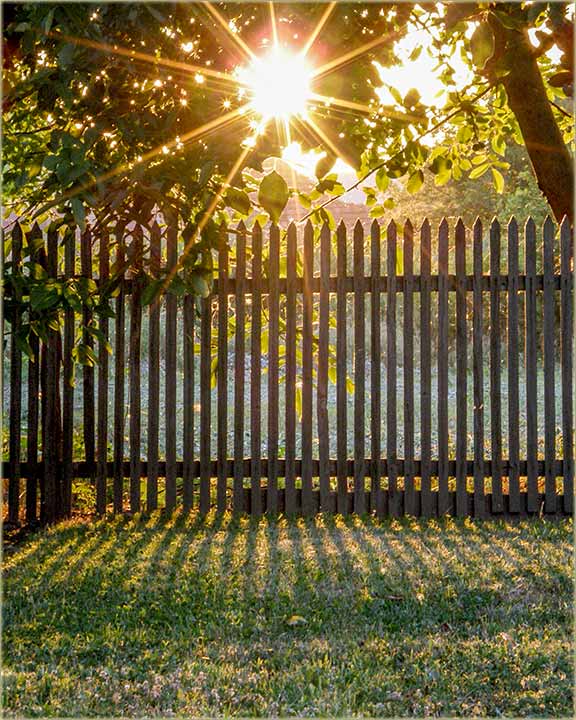 Sunanje tek pridVee, iza tarabe, a na travu !!!