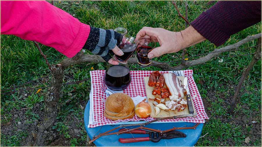 Prvi, proleni cvetovi, a isprid moje kue !!!