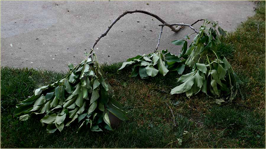 Ovaj veter e mi sve struiti i oduvati !!!