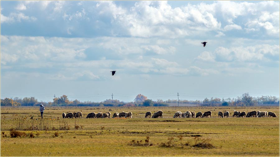 Znate..., uAtar ume da bidne, dugačak dân !!!