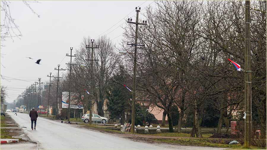 ZaNs u madarski krj, ijOpet nema zastava !!!