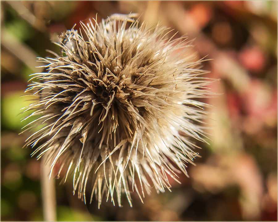 NeZnam kako se tačno zove..., al...