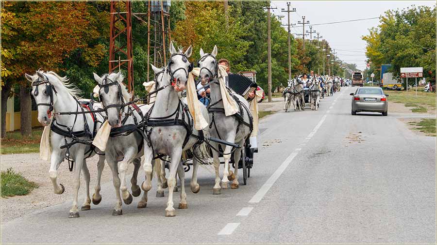 Kad Miloefan, pravi svatove...