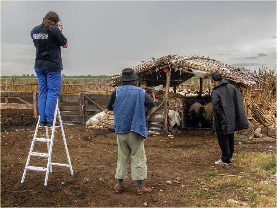 Bidne i kodNâs u Miloševo, domaći foto safarija...
