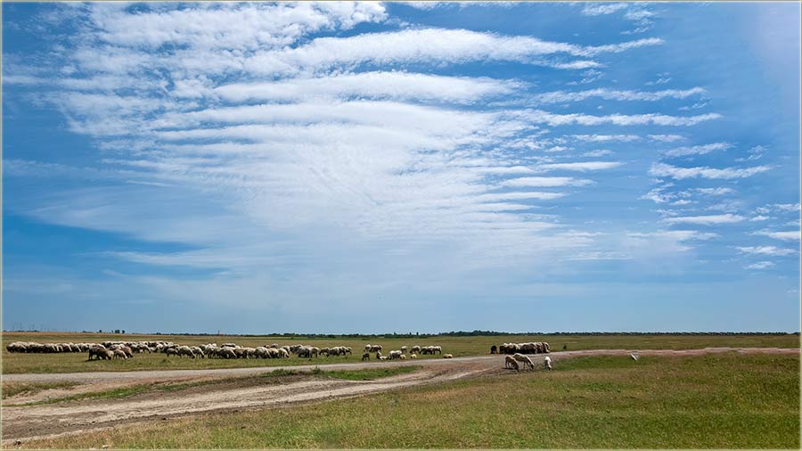 Kad zvêzda uPeče !!!