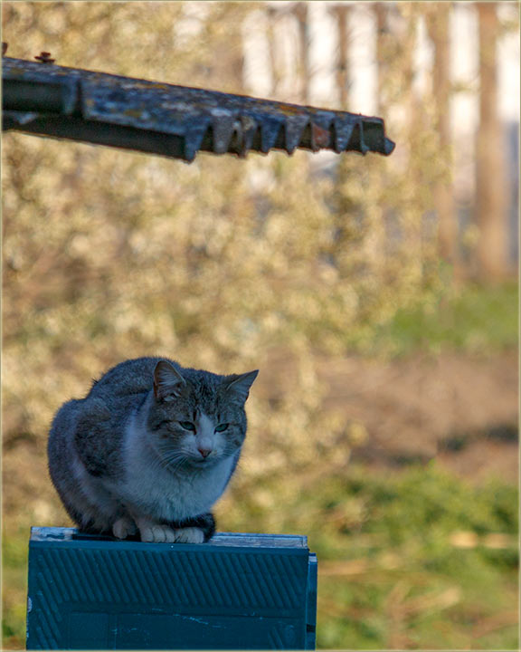 Nekako..., make su nam se priMrile...