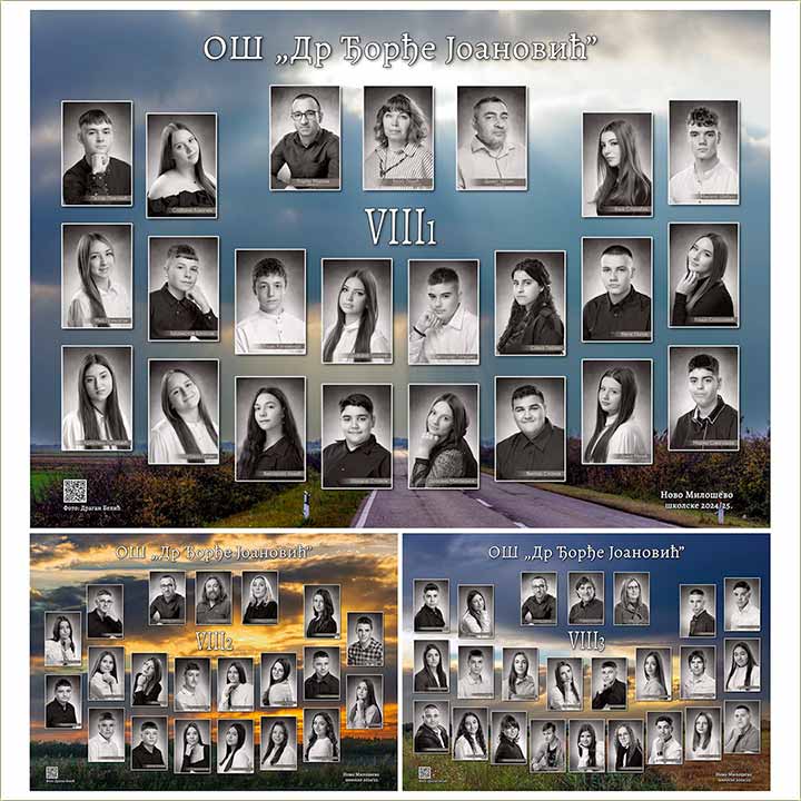 Nai maturanti, generacije 2010/2011-te !!!
