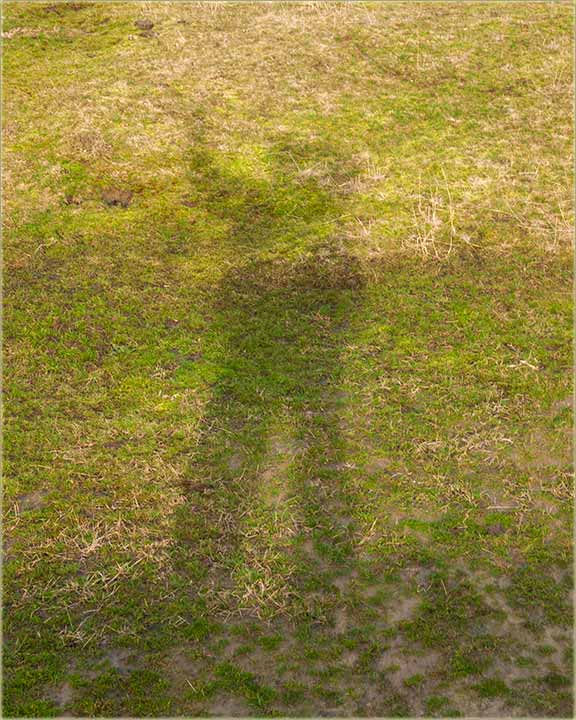 Moja senka Vas srdačno pozdravlja !!!