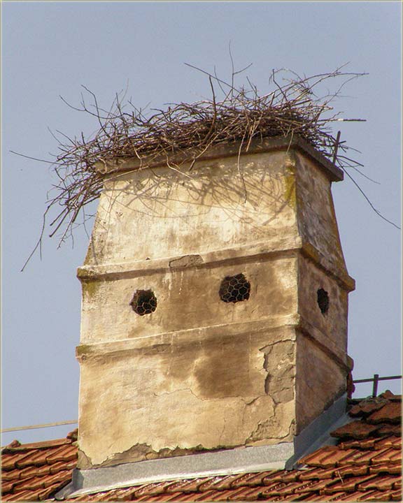 Prolee se budi..., kav i cela Srbija II ...