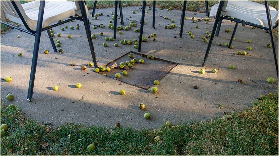 Orasi nam zdravo, jâko otPadadu !!!