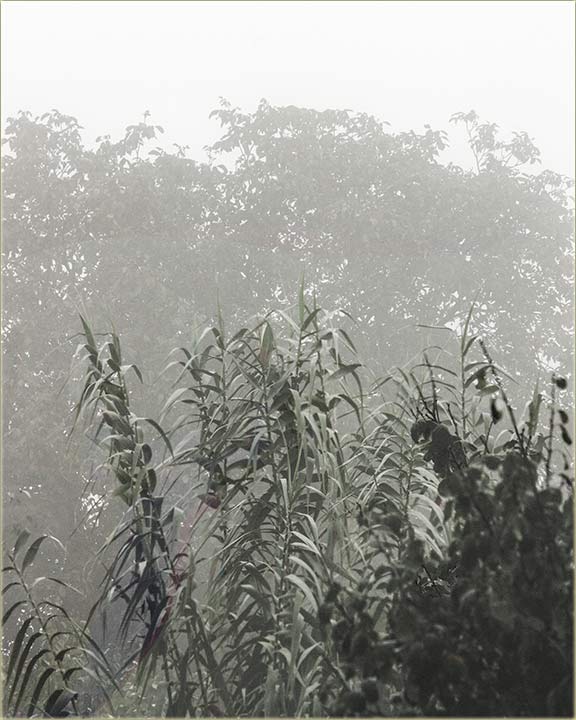 Za rubliku - da ostane pribeleženo...