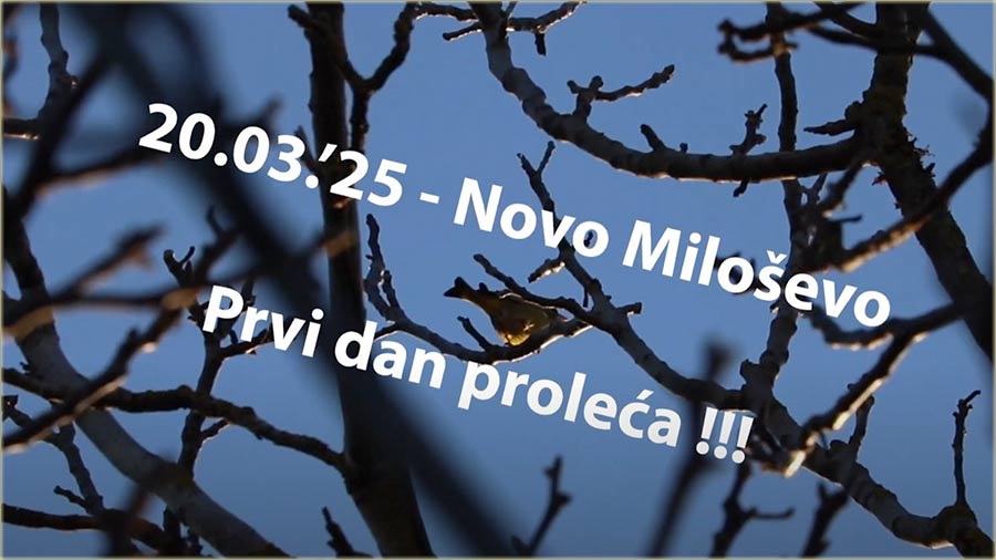 Prvi dn prolea ( VIDEO ) !!!