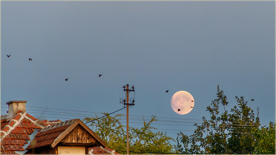 Zdravo Miloševo..., eto mene !!!