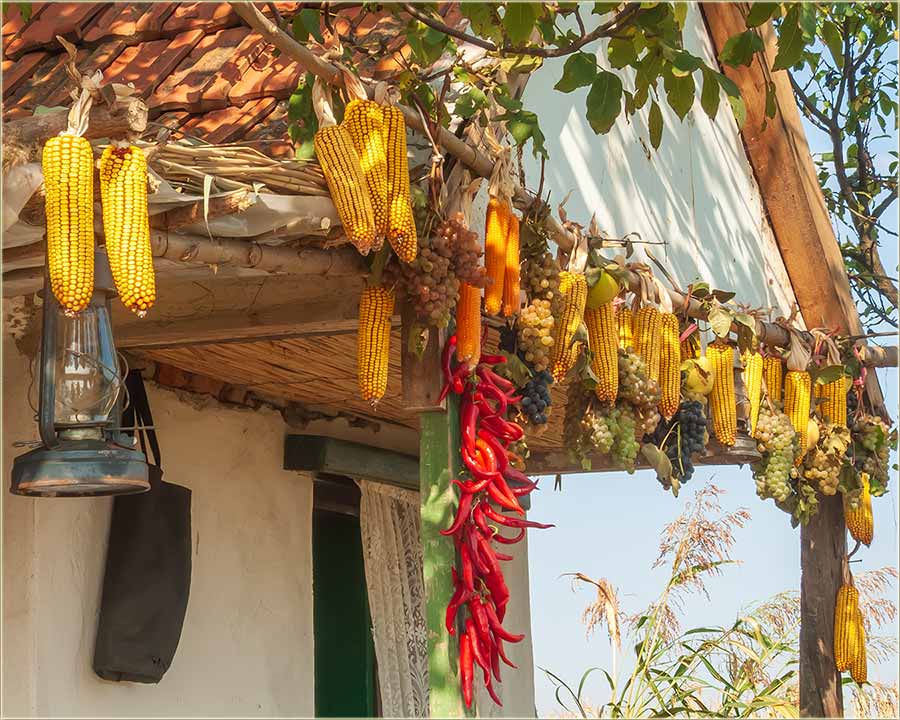 Počela je jesen !!!