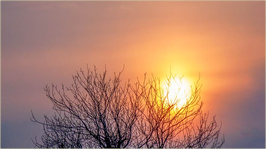 Sunce..., nebo..., drvo pûpi..., Banat...