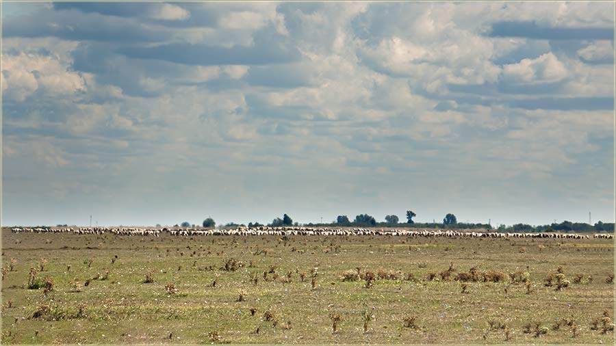 A gle ta je mrve !?!