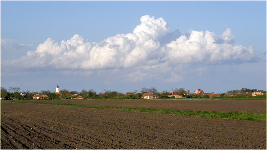 Zar va� atar, samo cveta ?