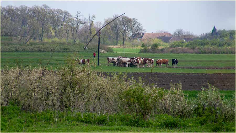 Ovaka je situvacija uAtar !!!