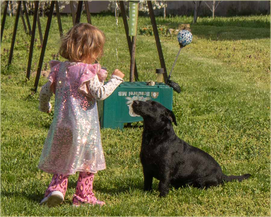 Nova gazdarica se i dalje po�tuje !!!