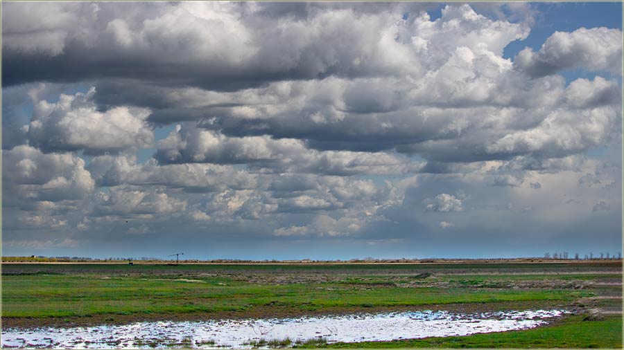 KodNas u Banat, nebo ume da bidne narogu�eno !!!