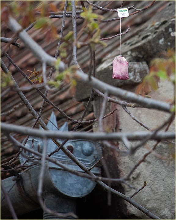 I ovo niste nigdi vidili, osim u Milo�evo !!!