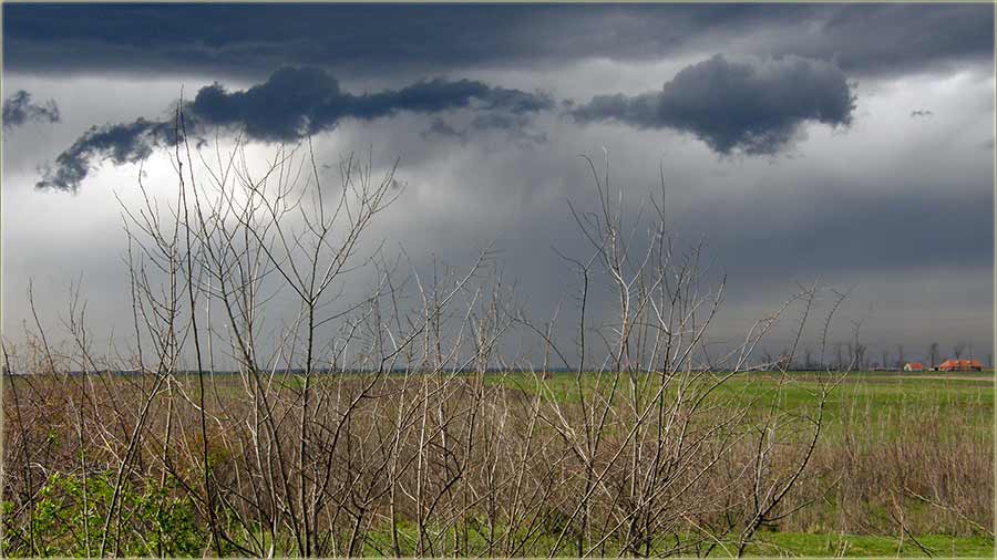 Pa... i nije neki po�etak prole�a...