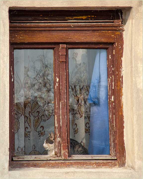 Eto..., a jo� uvek je ma�iji mesec, februvar !?!