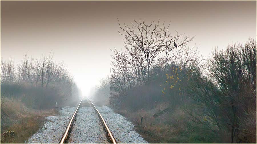 Kav prvoPutovo�a, za kav, svetlu budu�nost !!!