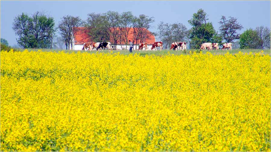 �&ucirc;ti nam se atar !!!