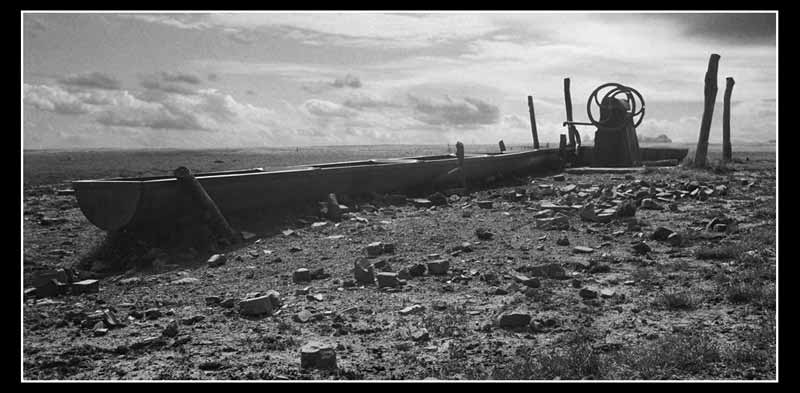 Pojilo I - 1979. god.