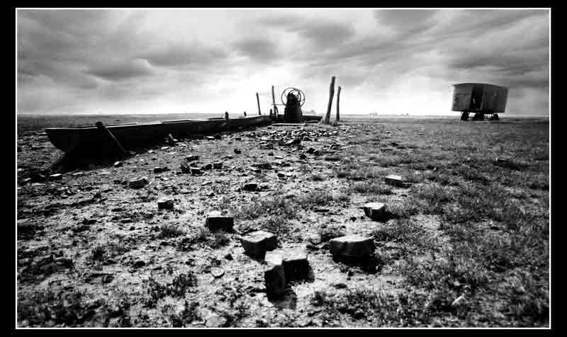 Pojilo II - 1979. god.