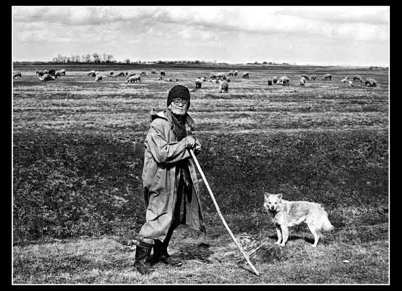 ovek i pas - 1979. god.