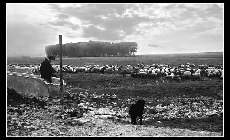 Na uikom bunaru - 1980. god.