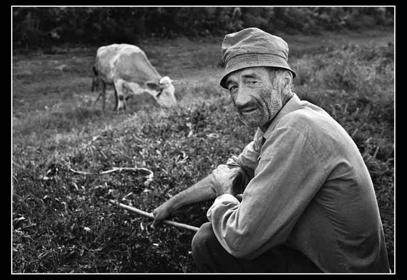 Veernja ispaa - 2003. god.