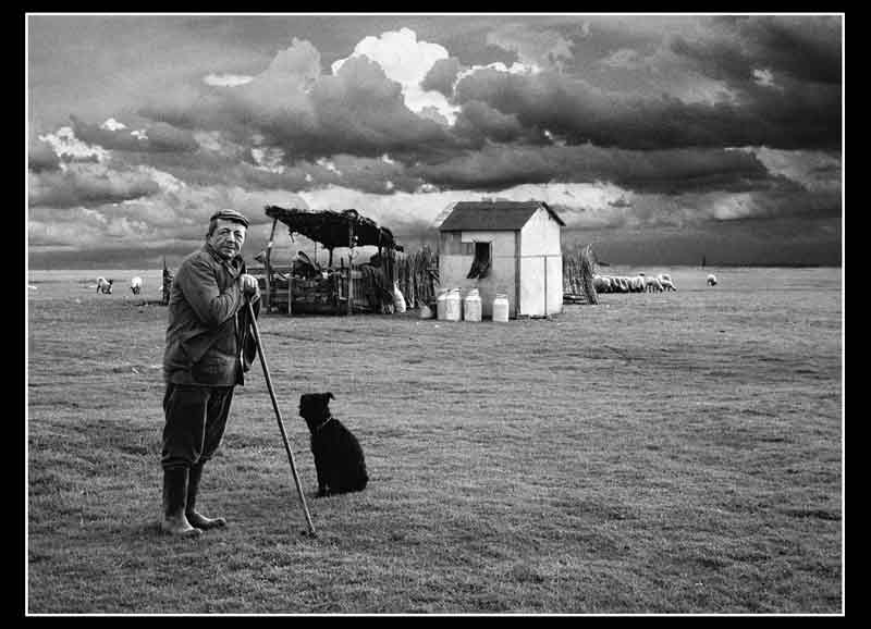 Mile Trajlov - 1995. god.