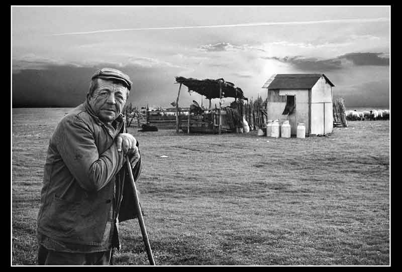 Popodne pred evedrom - 1995. god.