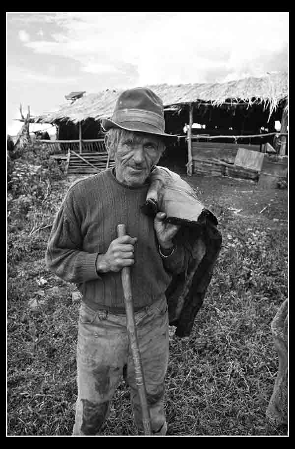 Minja Beli - Jaroki - 2003. god.